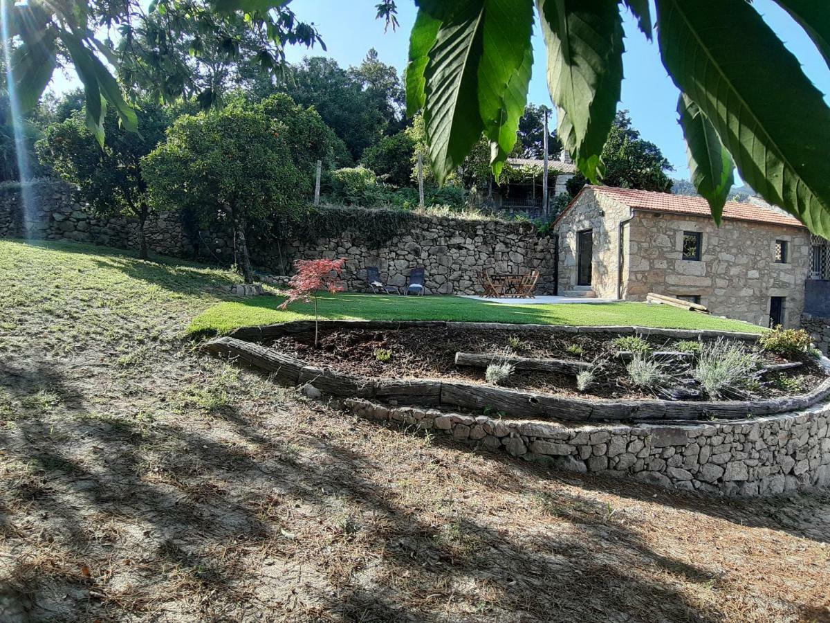 River House Sejaes Oliveira de Frades Eksteriør bilde