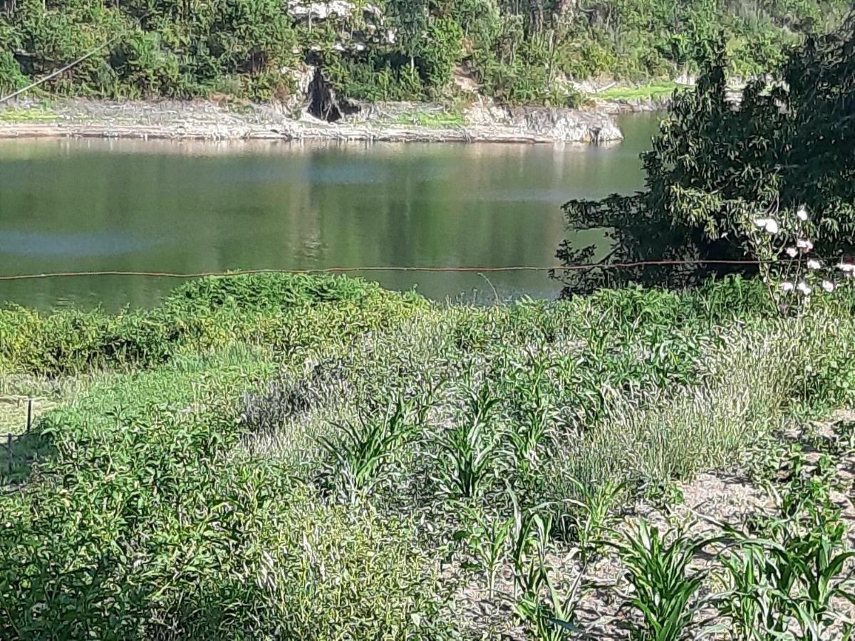 River House Sejaes Oliveira de Frades Eksteriør bilde